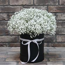 Цветочная композиция из Гипсофила в шляпной коробке в Черемисиново